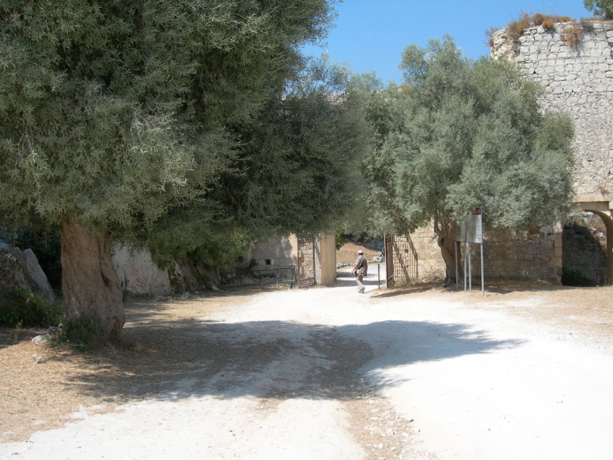 Noto Antica