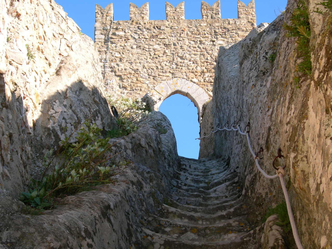 Sperlinga