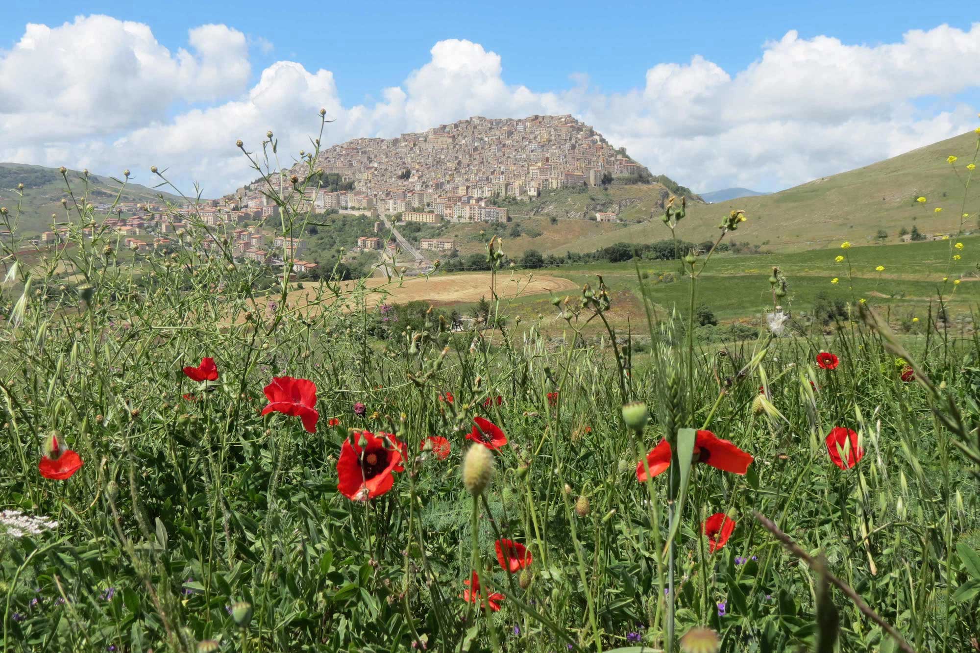 Gangi