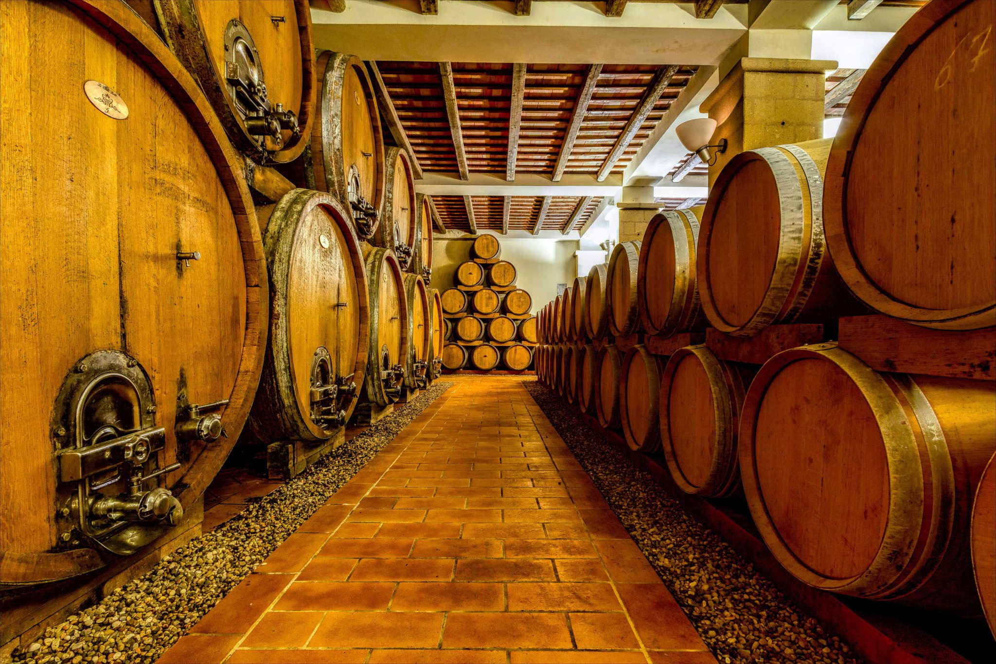 Sicilian Vineyards, Wine & Food Tour photo gallery Esplora Travel