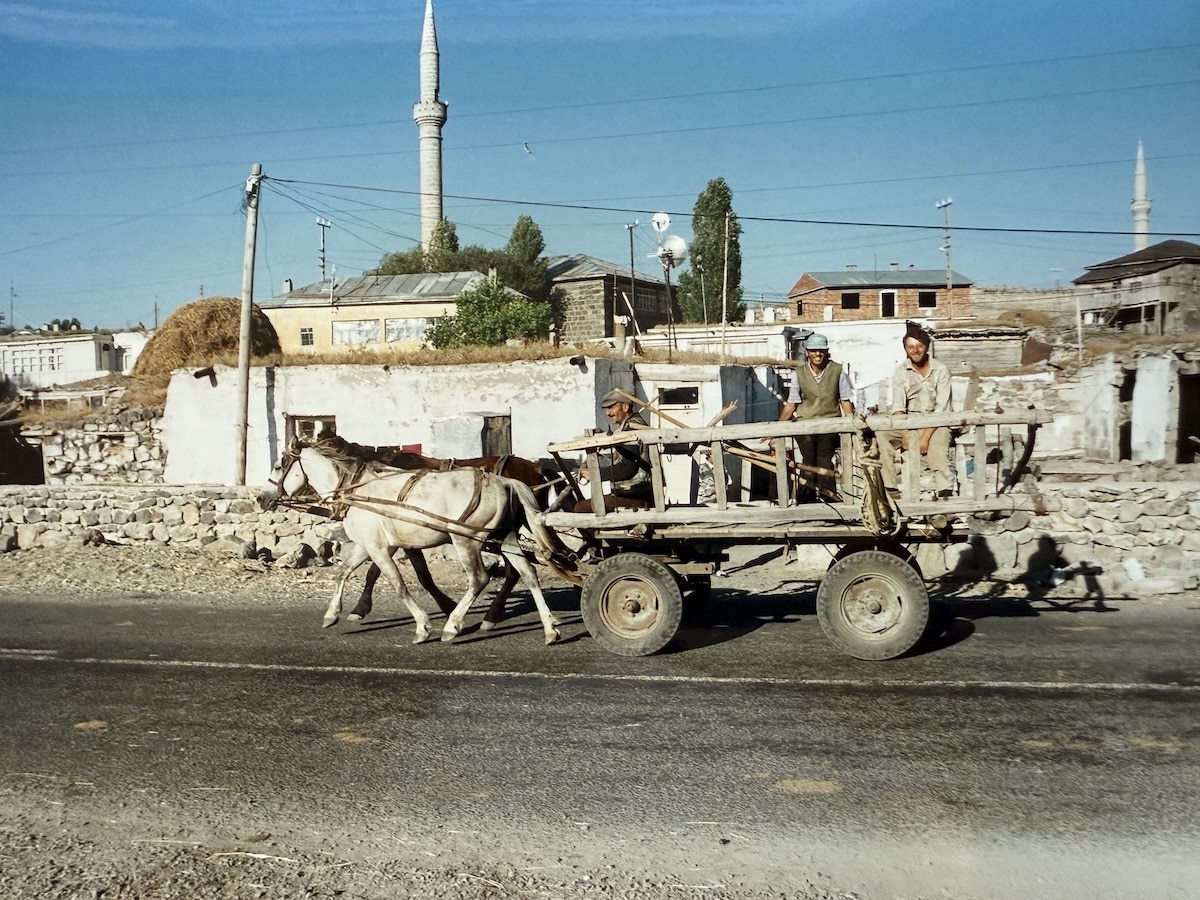 Horse and Cart Near Ardahan