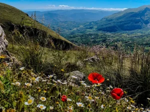 Walking in the Madonie Mountains