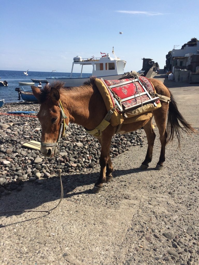 A Mule on Alicudi