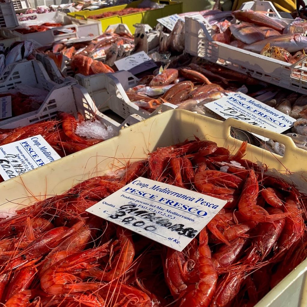 Fresh Fish Favignana