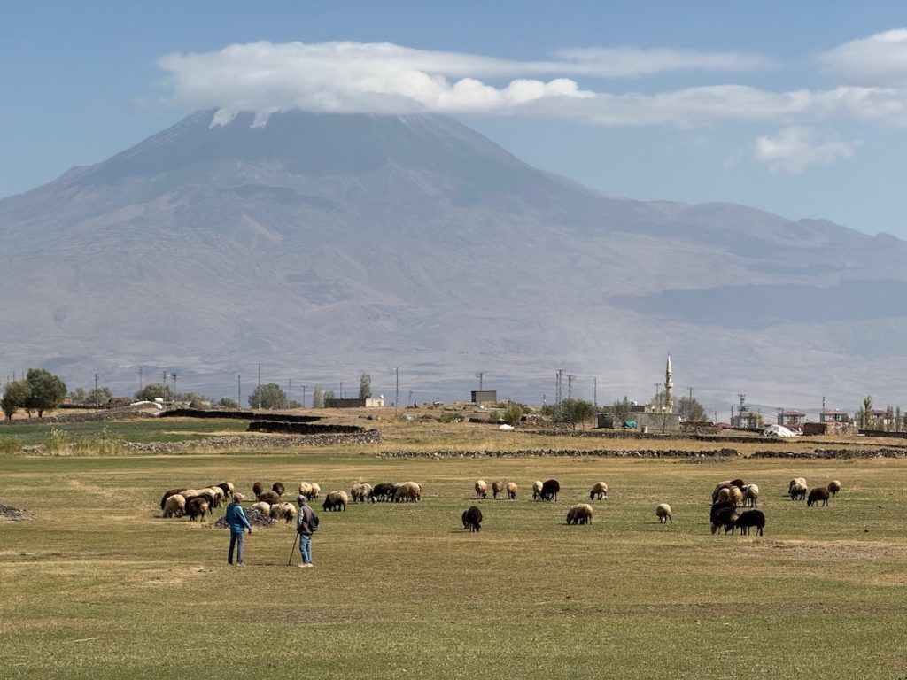 Mt. Ararat