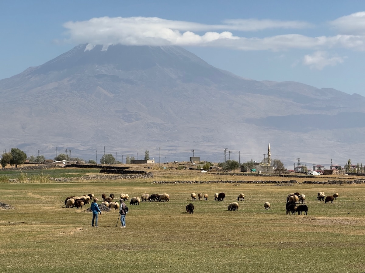 Mt. Ararat
